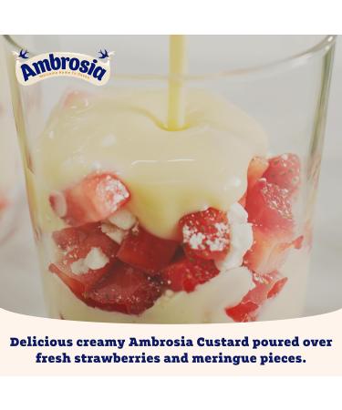 Ambrosia Devon Creamy Custard 150g Pot - Ready-to-Eat Original Flavor - Buy Online on GoSupps.com