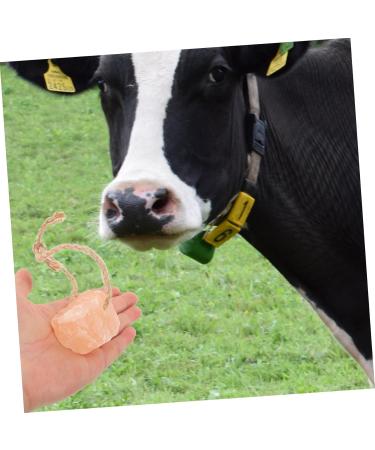 CIMAXIC 4pcs Salt Blocks Add Elements Pet Hanging Lick Salt Rabbit Salt Licking Salt Brick Mineral - Buy Online on GoSupps.com