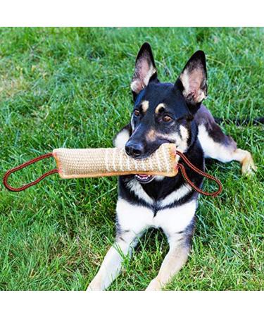 Hyrew Dog Tug Toy Dog Bite Pillow Jute Bite Toy Dog Pull Toy Interactive Toys for Medium to Large Dogs(style 1) - Buy Online on GoSupps.com