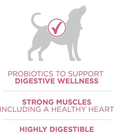 Purina ONE +Plus Dry Dog Food Digestive Health with Chicken - 9.5 kg Bag 9.5 kg (Pack of 1) - Buy Online on GoSupps.com