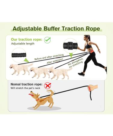 Pecute Jogging Leash for Dogs - Elastic Running Leash with Belly Belt for Large & Medium Dogs Includes Belt Bag Supports Up to 100kg - Perfect for Running & Jogging - Buy Online on GoSupps.com