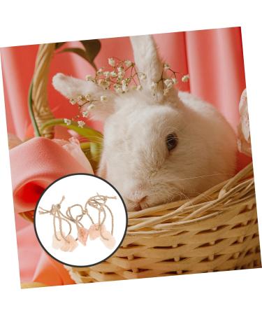 KITANDOVE 5pcs Salt for Licking Hanging Salt Licking Salt Small Pets Lick Salt Rope - Buy Online on GoSupps.com