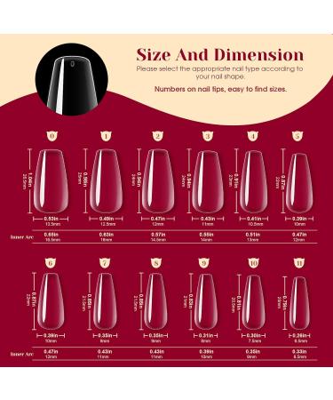 Rosalind Full Cover Medium Ballerina Nail Tips - 504pcs Clear Gel Nail Tips for Nail Art | 12 Sizes in Box - Buy Online on GoSupps.com