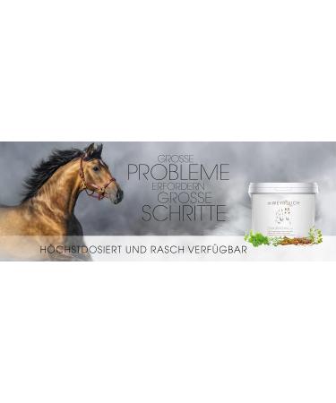 Dr. Weyrauch Zinkursan Vet | 500g | Horse Supplement | May Help Compensate Zinc Deficiency | May Contribute to Hoof Regeneration - Buy Online on GoSupps.com