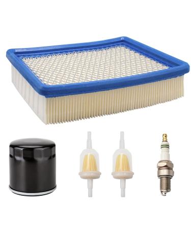 CLUBRALLY Golf Cart Tune Up Kit for Club Car DS 1992-2004 Gas Carts with FE290 Engines, Air Filter 1015426, Oil Filter 1016467 41016467, Fuel Filter 1013684 1014522 102003201, Spark Plug