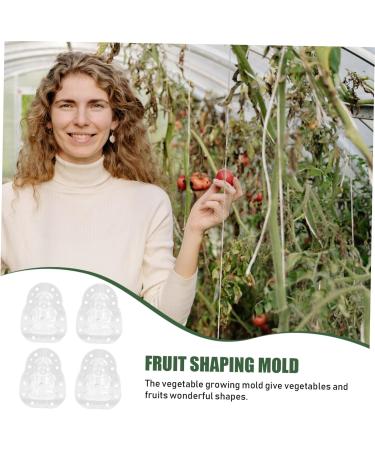 FELTECHELECTR 4pcs Holder Gardening Peach Statue Forming Growth Ginseng Watermelon Supply Strawberry Buddha Melon - Buy Online on GoSupps.com