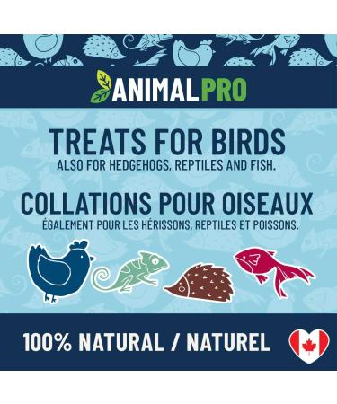 AnimalPro Crickets and Mealworms 454 g - 1 LB - Buy Online on GoSupps.com