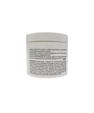 Zion Health Hydrating Wrinkle Defense Cream - 4 oz Hyaluronic Acid for Youthful Skin - International Shipping Available - Buy Online on GoSupps.com