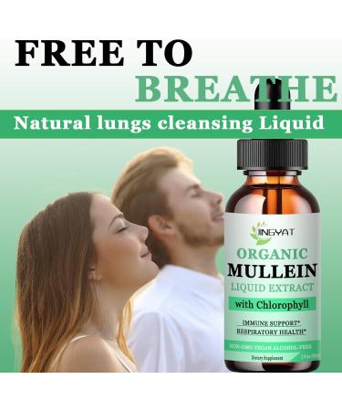 Mullein Drops for Lungs - Immune Support Detox & Respiratory Aid | Non-GMO Gluten-Free 2 Fl Oz - Buy Online on GoSupps.com