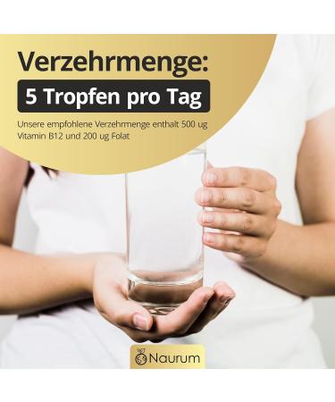  Naurum Naurum Trio Complex of Vitamin B12 with Folate 1100 drops 50 ml methylcobalamin adenosylcobalamin and 5-MTHF high - Buy Online on GoSupps.com