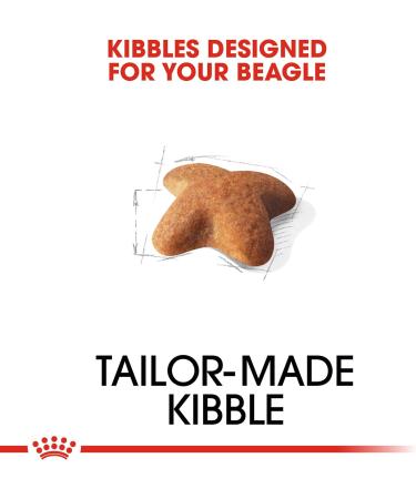 ROYAL CANIN/BEAGLE ADULT 3 kg bag of kibble for Beagle from 12 months - Buy Online on GoSupps.com