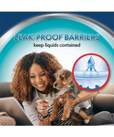 Simple Solution Disposable Dog Diapers Super Absorbent & Leak-Proof Fit for XS Dogs | Manage Incontinence & Urination Issues - Buy Online on GoSupps.com