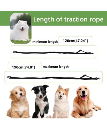 Premium Stretchy Dog Leash for Jogging & Hiking - Ideal for Small to Medium Dogs (118-200 cm) - Buy Online on GoSupps.com