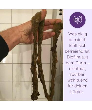 BioMat Karst dts Intestinal Detox Darmmour advanced intestinal and colon detox for body cleansing and supporting intestinal health natural ingredients for effective detoxification 1day treatment - Buy Online on GoSupps.com