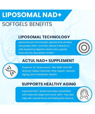 Liposomal NAD+ 500 mg with TMG 250 mg - Superior Absorption for Healthy Aging | 60 Portions - More Efficient than Nicotinamide Riboside - Buy Online on GoSupps.com