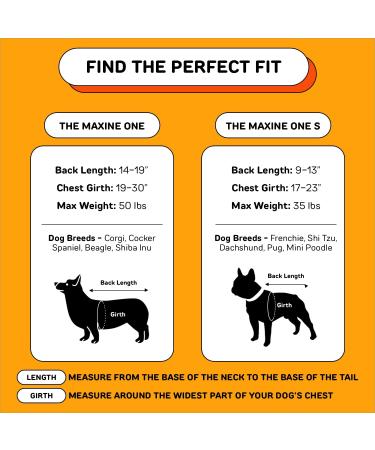 Little Chonk Maxine One Dog Backpack - Comfortable & Safe with Snacc Pacc Hip Belt - Chonkcrete Gray | International Shipping - Buy Online on GoSupps.com