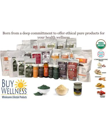 Buy Wellness Organic Chlorella Powder Cracked Cell Chlorella Green SUPERFOOD | Raw Green Supplement Rich in Protein & Vitamins | Broken Cell Wall Non-GMO Vegan Non-Irradiated 4 oz - Buy Online on GoSupps.com