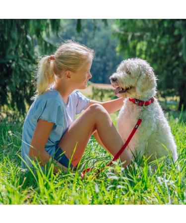 Nobby Soft Grip Collar - Red - Adjustable 20-30 cm 10 mm Width - 1 Piece for Dogs - International Shipping - Buy Online on GoSupps.com