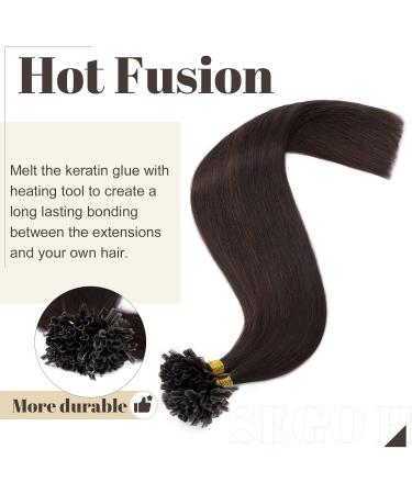 20" Keratin Pre Bonded Human Hair Extensions 100 Strands (#2 Dark Brown 50g) - Buy Online on GoSupps.com