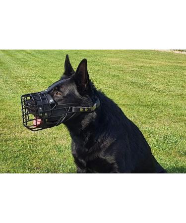 Dingo Gear Rubberized Metal Muzzle for German Shepherds - Comfortable & Durable for Long Walks | S03042 - Buy Online on GoSupps.com