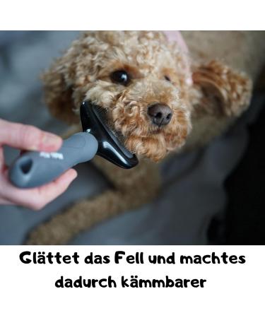 Moki Bear Detangling Spray & Combing Aid for Dogs | 200ml | Easy Coat Care & Combing Solution - Buy Online on GoSupps.com