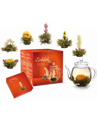Creano Blooming Tea Gift Set Flowering Tea Giftset with 500 ml Glass Tea Pot and 6 Tea Flowers - White Tea - Buy Online on GoSupps.com