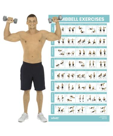 Vive Dumbbell Workout Poster - Home Gym Exercise for Upper, Lower, Full Body - Laminated Bodyweight Chart for Back, Arm, Core and Legs - Free Weight Building Guide For Men, Women, Elderly (30" x 17")