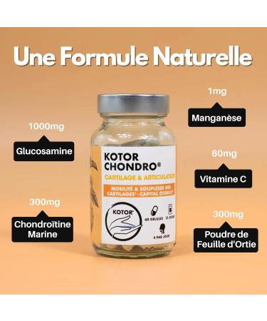 KOTOR CHONDRO | Regenerates Cartilage | Joint Bread | Glucosamine + Marine Chondroitin + Nettle + Manganese + Vitamin C | Mobility & Flexibility | 60 Capsules | Made in France - Buy Online on GoSupps.com