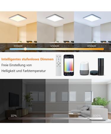 Blnan Smart RGB LED Ceiling Lamp 24W - Dimmable WiFi Control Alexa & Google Home Compatible | Perfect for Living Room Bedroom & Dining Room (32cm) - Buy Online on GoSupps.com