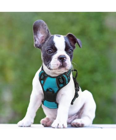 Rabbitgoo Medium Dog Harness - No Pull Adjustable Control Harness for Large Dogs Breathable & Safe Blue-Green (1 Pack) - Buy Online on GoSupps.com