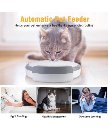 Casfuy 5-Meals Automatic Cat Feeder - Programmable Timer, Voice Recorder, Portion Control - For Cats and Small-Medium Dogs - Buy Online on GoSupps.com