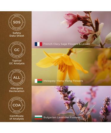 Gya Labs Sleep Essential Oil Blend - 100% Pure Natural Sleep Oil for Diffuser & Aromatherapy Soothing Bedtime and Self-Care (0.34 Fl Oz) - Buy Online on GoSupps.com