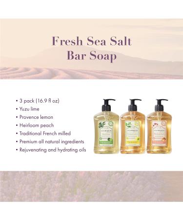 A LA MAISON Liquid Hand Soap Variety Pack - Yuzu Lime, Provence Lemon, Heirloom Peach - Natural Moisturizing Soap (3 Pack 16.9 oz) - Buy Online on GoSupps.com