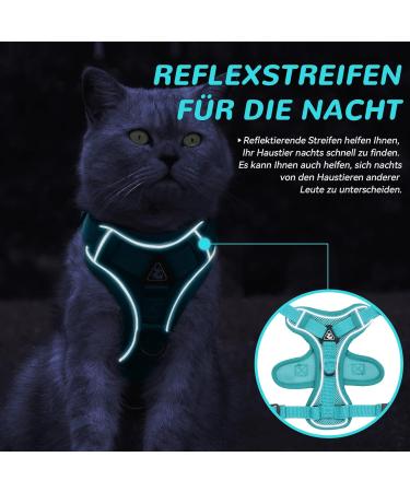Adjustable Cat Dishes for Kittens & Puppies | Blue Lake Cat Feeding Set - International Shipping - Buy Online on GoSupps.com