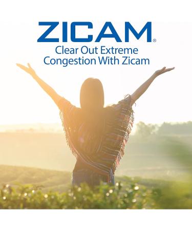 Zicam Extreme Congestion Relief No-Drip Nasal Spray with Aloe Vera 0.5oz (2 Pack) - Buy Online on GoSupps.com