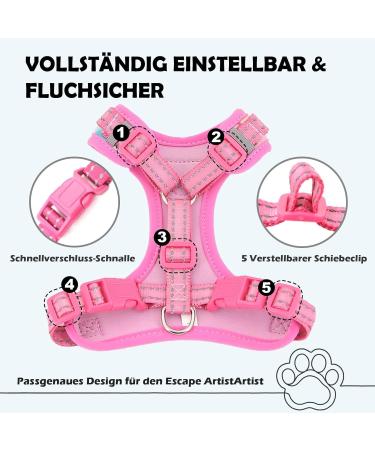 Supet Cat Dishes & Leash Set - Faith-Safe Kittens Crockery | International Shipping Available - Buy Online on GoSupps.com