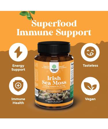 Bundle of Pure SAM-E Nootropic Brain Supplement and Organic Irish Sea Moss Capsules -Immune Support and Mood Support Supplement - Sea Moss and Bladderwrack Capsules with Burdock Root Superfood Blend - Buy Online on GoSupps.com