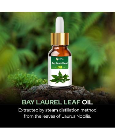100% Pure Bay Laurel Leaf Oil (Laurus Nobilis) - Natural Essential Oil 30ml | International Shipping Available - Buy Online on GoSupps.com