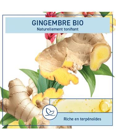  Natessance Natessance stimulating shower gel with organic ginger 1L - Buy Online on GoSupps.com