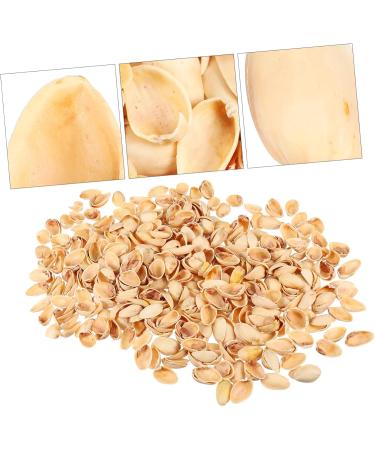 NUOBESTY 1 Pistachio Shell Decorative Painting Diy Materials Kids Crafts Material Child Supplies Artificial As Shown 2X1.2CM - Buy Online on GoSupps.com