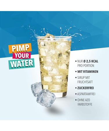 Best Body Nutrition Vital Drink Zerop - Sugar-Free Ginger Ale Concentrate | 1L Makes 80L | Original Beverage Syrup - Buy Online on GoSupps.com