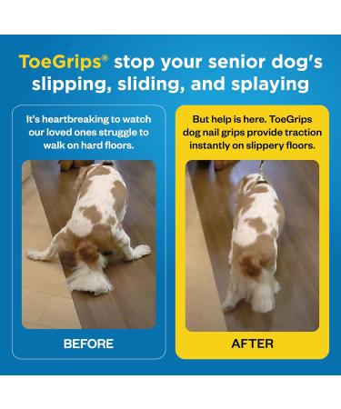 Dr. Buzby's ToeGrips for Dogs - Medium - 20 grips - Buy Online on GoSupps.com