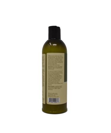 Hemp Daily Conditioner with Essential Oils | THC-Free | 16 fl oz - Nourish & Hydrate Your Hair - Buy Online on GoSupps.com