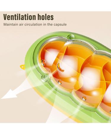 Observation Box Baby Silkworm Shape Silkworm Rearing Bucket Mesh Hole Design Multifunctional Educational for Reptiles (Green) - Buy Online on GoSupps.com
