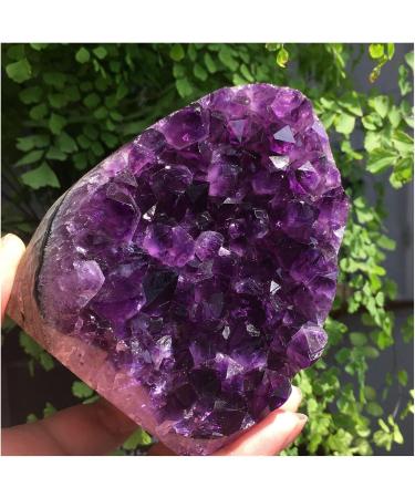 Natural Amethyst Quartz Cluster Crystal Specimen Freeform yuebang Stone Mineral Specimen (Color : Purple Size : 500-600g) 500-600g Purple - Buy Online on GoSupps.com