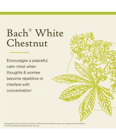 Bach Original Flower Remedies White Chestnut - Calm The Mind - Natural Homeopathic Flower Essence for Emotional Balance - Vegan Gluten Free Sugar Free - 20mL Dropper - Buy Online on GoSupps.com