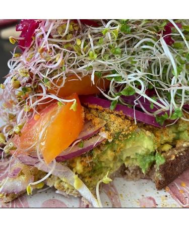 Parma! Vegan Parmesan - Garlicky Green Umami Cheese | Keto, Gluten-Free, Dairy-Free | 7oz Bottle - Buy Online on GoSupps.com