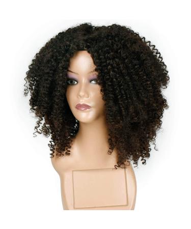 Curly Afro Wig for Dark-Skinned Women | Real Hair Lace Front Loose Synthetic Ponytail - WL9302 - Buy Online on GoSupps.com