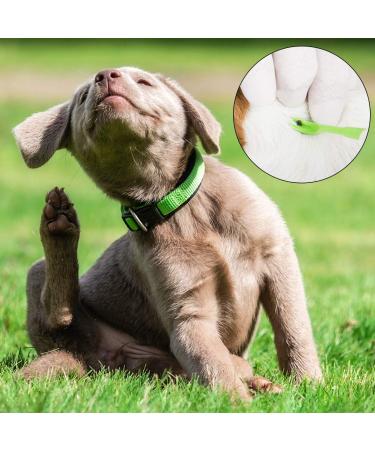 Melliex Tick Pliers Set | Stainless Steel Tick Remover & Tweezers for Pets | Tick Hooks & Storage Box for Dogs & Cats (Black) - Buy Online on GoSupps.com