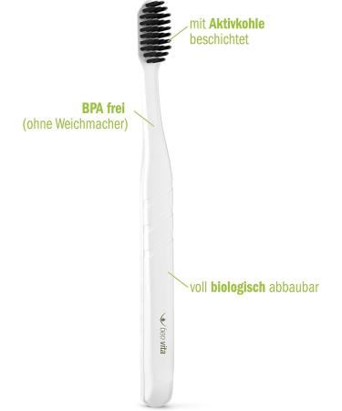 Beovita Zahnbiob sten 19 g - Nachhaltige Zahnb rsten f r die ganze Familie | internationaler Versand - Buy Online on GoSupps.com